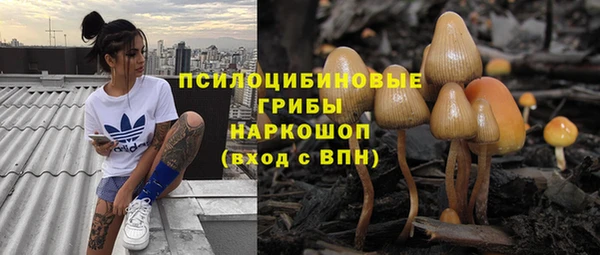 apvp Баксан